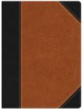 HCSB Study Bible, Black/Brown Duotone LeatherTouch